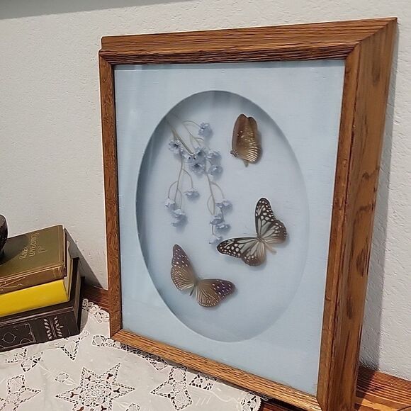 Vtg 3 Butterflys & Flowers Mounted In Shadow Box Frame Taxidermy Oklahoma Flaw - Picture 5 of 12